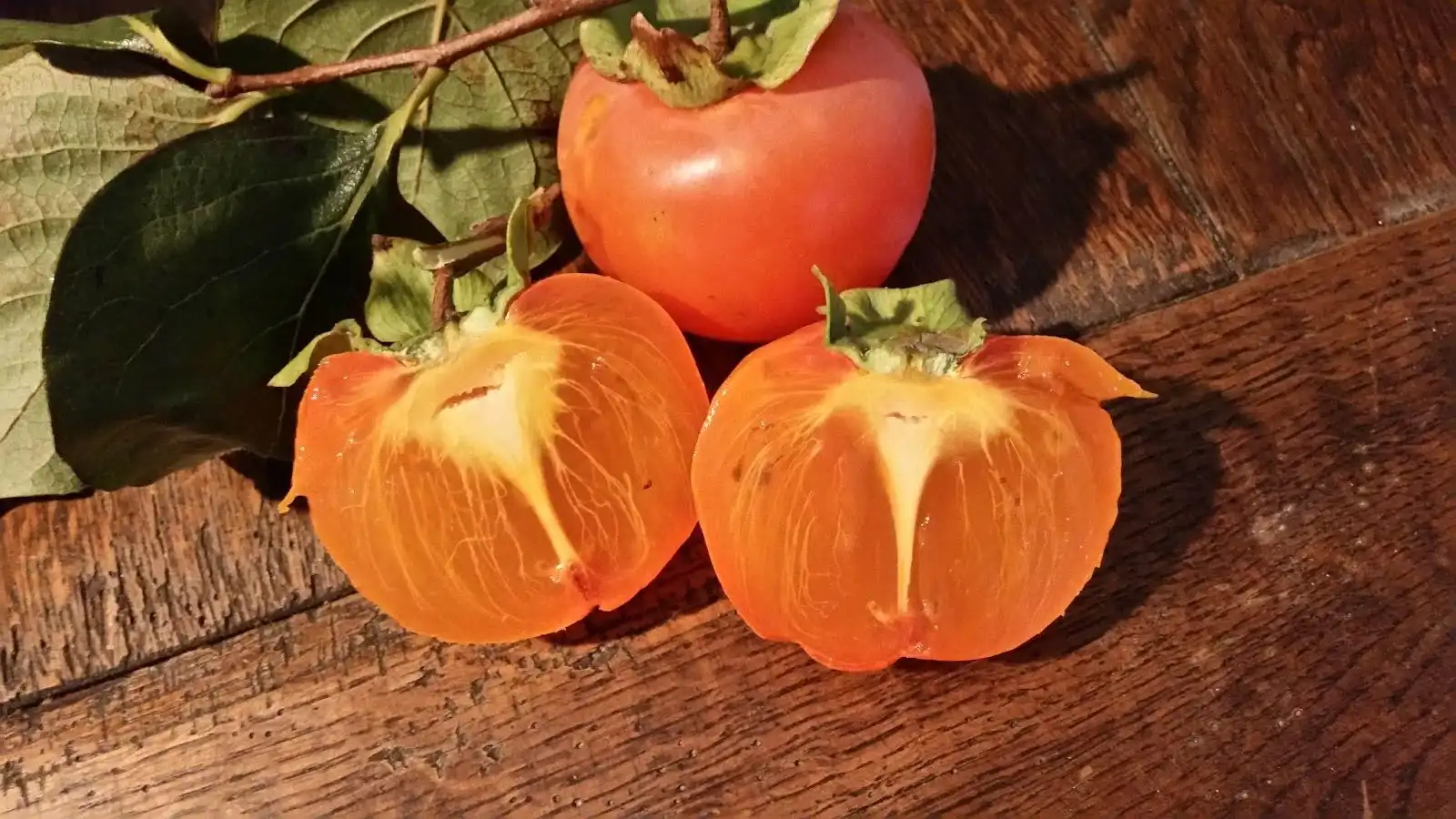 Kaki Hachiya